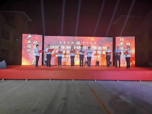 太熱鬧啦！2020楊安鎮迎秋晚會暨第五屆群眾文化藝術節盛大開幕